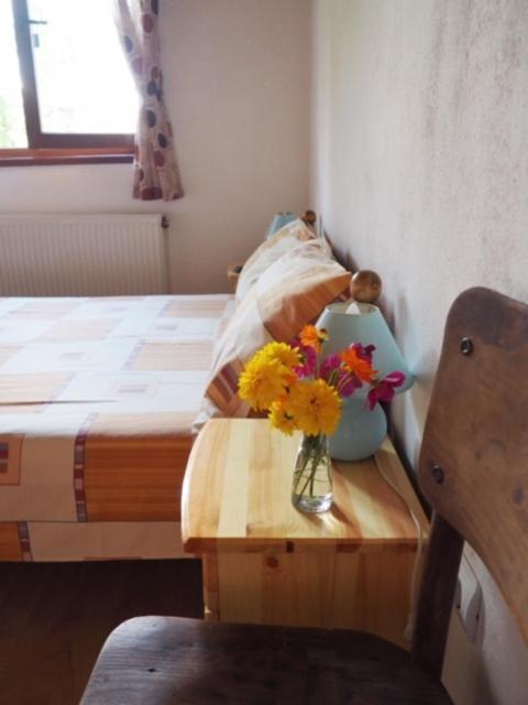 Guest House Yana Tŭrkasheni Extérieur photo